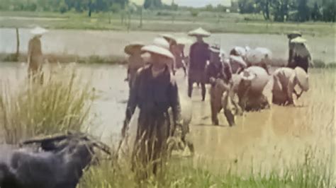 Manilla Philipines 1940 - VintageFilmChannel