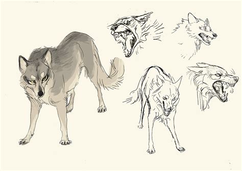 Léa R-M - Wolves sketches