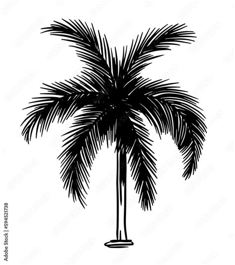 Image result for Simple Color Vector Drawing Palm Tree