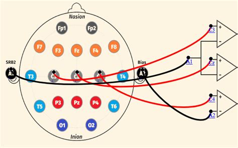 Virtual Labs