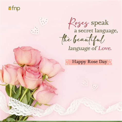 Happy Rose Day Quotes, Wishes & Images For Love | FNP
