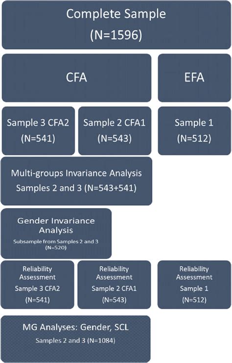 Data Analysis Steps 的图像结果