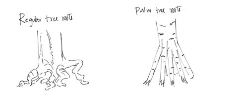 Image result for Tree Texture Drawing Simple