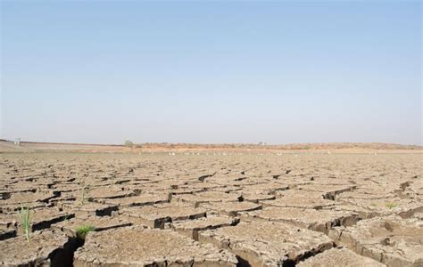 In 4 years, India lost over 30 million hectares of healthy land to ...