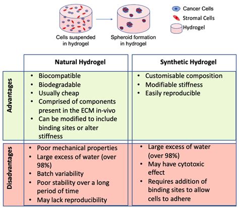 A 3D View of Colorectal Cancer Models in Predicting Therapeutic ...