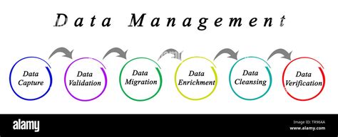 Data Management Process 的图像结果