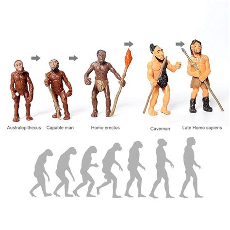 Buy MERISHOPP® Human Evolution Action Figure Toy Collection Kids ...
