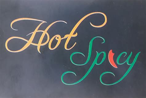 Hot Spicy, Panipat | Veg Platter