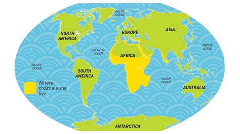 Panther Chameleon Distribution Map Panther Chameleon Locales – How