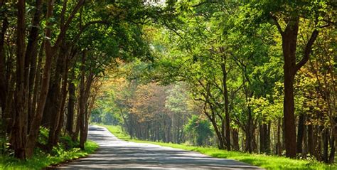 Stunning road trips you should take in India before you die! - Travel News