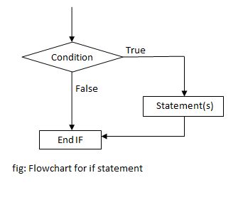Image result for If Statement Code Example in Java