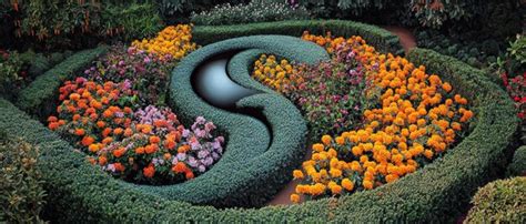 Taoism 的图像结果