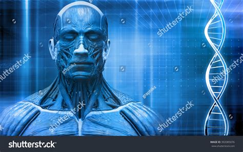 Front-Facing View 的图像结果