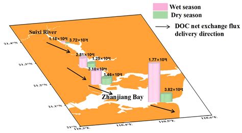 Tidal Dynamics Shaped the Dissolved Organic Carbon Fate and Exchange ...