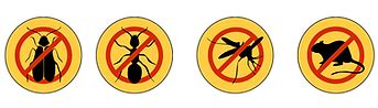 Mumbai Pest Control & Facility Services | Pfree Services