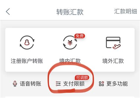 二类卡绑定一类卡后转入有限额吗 - 财梯网