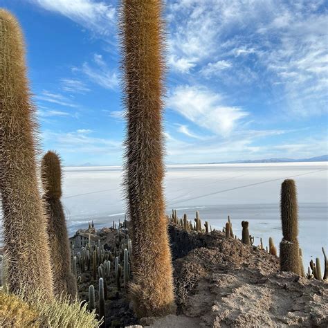 UTURUNKU TRAVEL (2025) All You Need to Know BEFORE You Go (with Photos ...