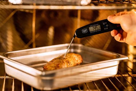 Image result for Meat thermometer Cooking Tips