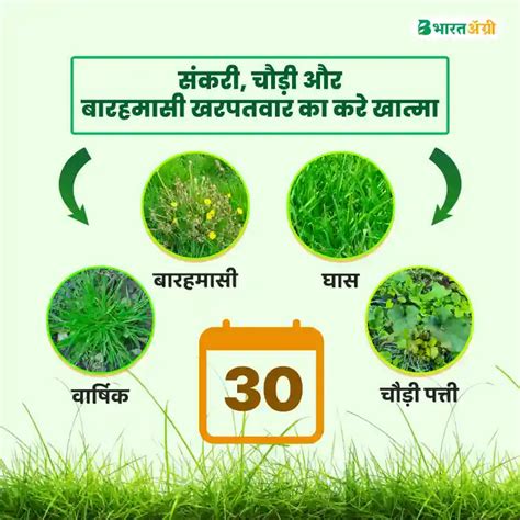 JU Glypho-41 (Glyphosate 41% SL) Herbicide | Buy Now – BharatAgri ...