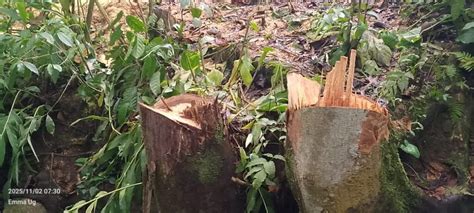 Time FM - Mbale's Number 1 Hit Station