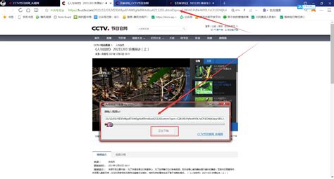 央视视频器下载-央视视频器免费版下载1.6-软件爱好者
