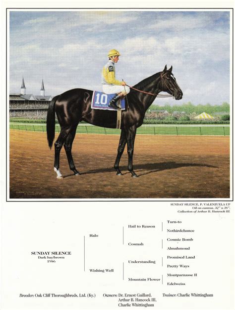 Sunday Silence Horse