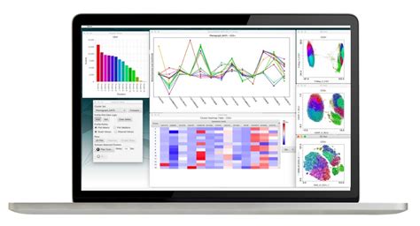 FlowJo Ros 的图像结果