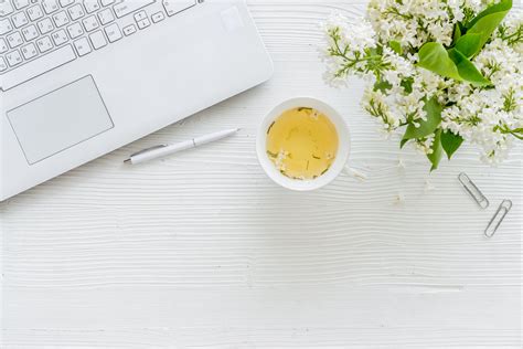 Image result for Spring Course