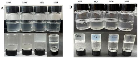 Study of Physicochemical and Gelation Properties of Fish Gelatin from Different Sources