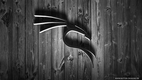 Image result for kali linux dark theme