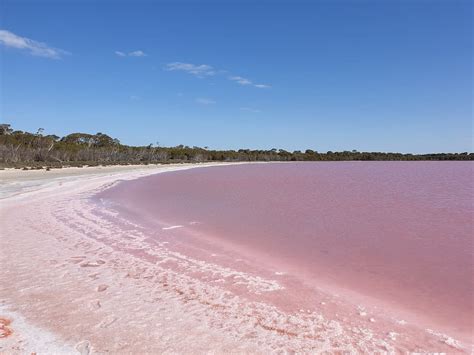 PINK LAKE (2026) All You Need to Know BEFORE You Go (with Photos ...