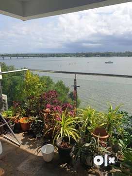 Waterfront - Buy, Sell & Rent Properties in Kerala | OLX