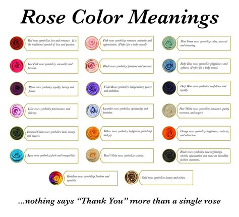 Rose color meaning and guide – Artofit