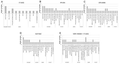Impact of Heat Shock Protein 90 Inhibition on the Proteomic Profile of ...