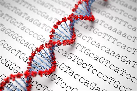 Genome Sequencing - Know The Scientific Approach Of DNA Analysis – MelixGX