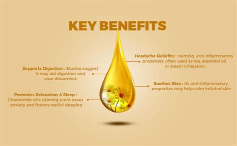 Xalivessence Chamomile Essential Oil | Promotes Relaxation & Sleep ...