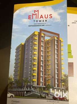 House in Kothamangalam, Free classifieds in Kothamangalam | OLX