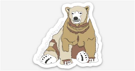 Polar Bear by ShopBioDiversity | Die cut stickers | Sticker Mule India