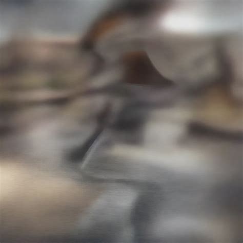 Top Laminate Floor Cleaner Machines in the UK