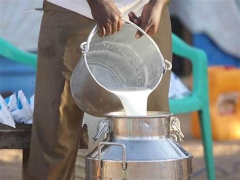 milk collection and dairy related operations can be done from 7 am to 7 ...