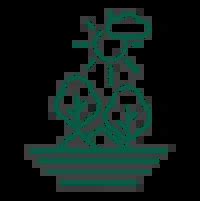 Courtyard Fairmont | Extra Large 4BHK, 5BHK Luxurious Apartments ...