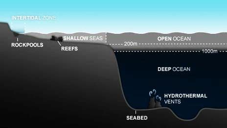 10 Things You Didn't Know About The Dead Sea - Hello Travel Buzz