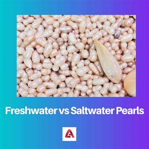 Freshwater vs Saltwater Pearls: Difference and Comparison