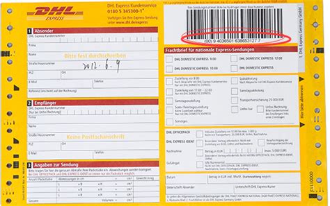 DHL Global Forwarding to launch air freight charter for bio and ...
