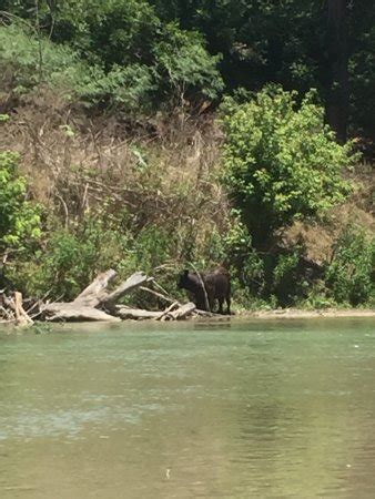 Guadalupe Canoe Livery (Spring Branch) - 2022 What to Know Before You ...