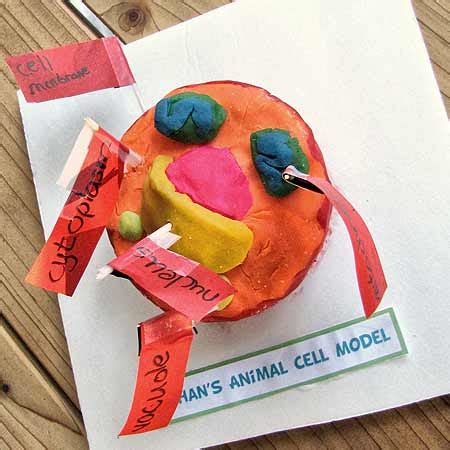 Image result for Cell Project Examples