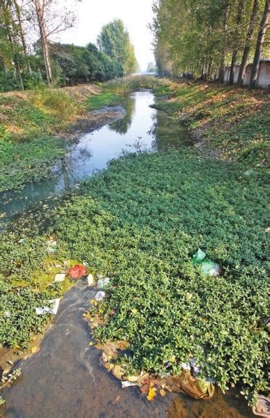 郑州市区诸多明沟存在污染 石苏干沟流水如墨汁-国际在线