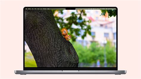 Image result for Mac Computer Screen