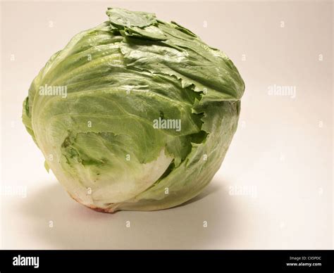 Lettuce On Head at Maddison Loch blog