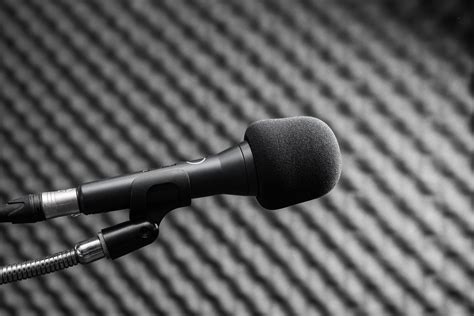 5 Best Voice-Over Microphone Under $100 in 2024 - WebSta.ME